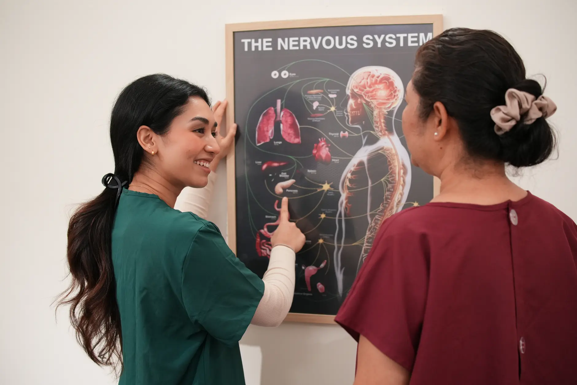 A chiropractor explaining a nervous system anatomy chart to a patient, illustrating the patient education and informed care process