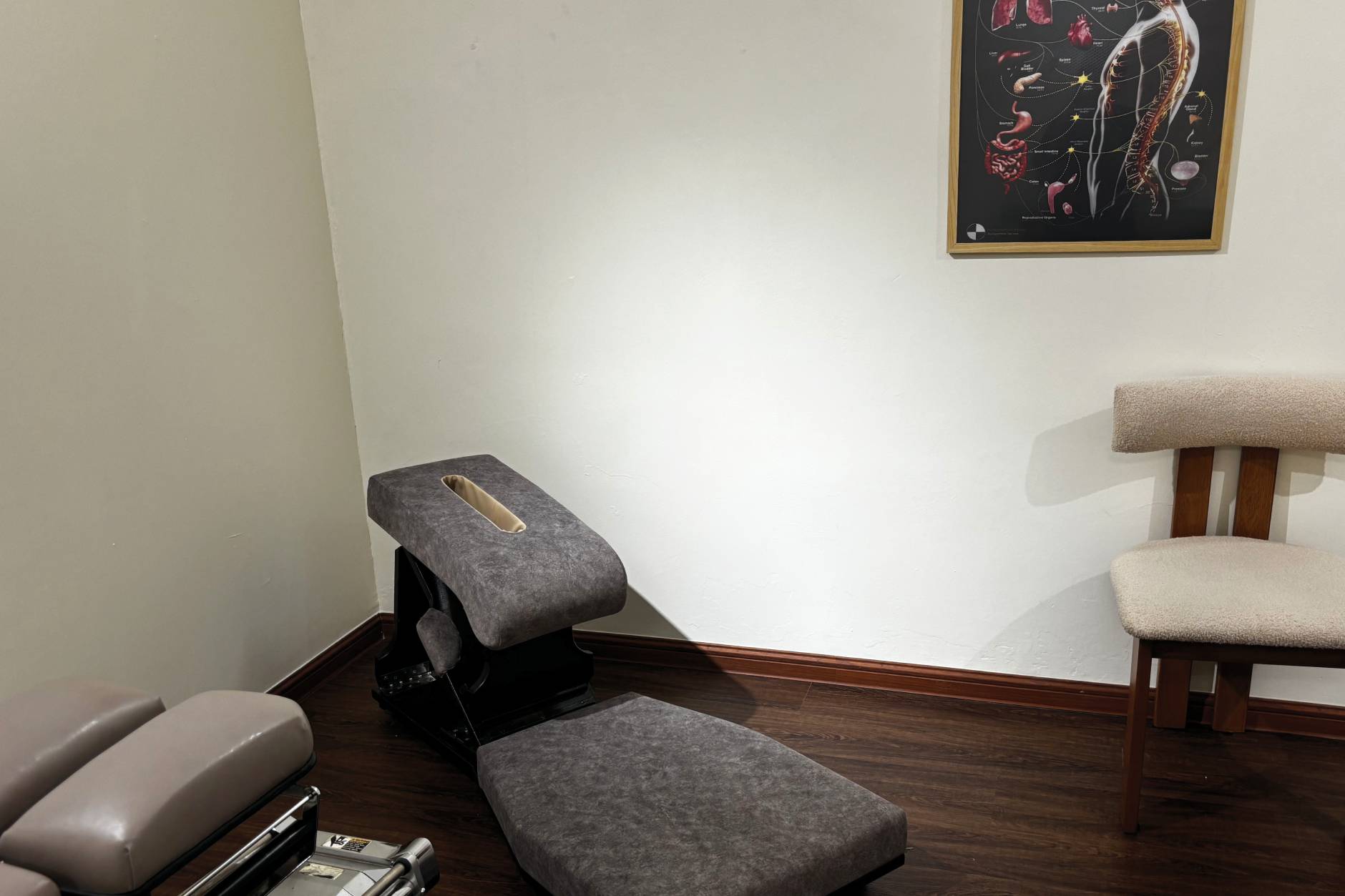 Practitioner reviewing a spinal X-ray on screen during chiropractic consultation