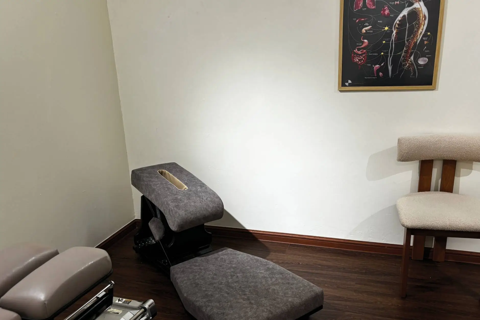 Practitioner reviewing a spinal X-ray on screen during chiropractic consultation