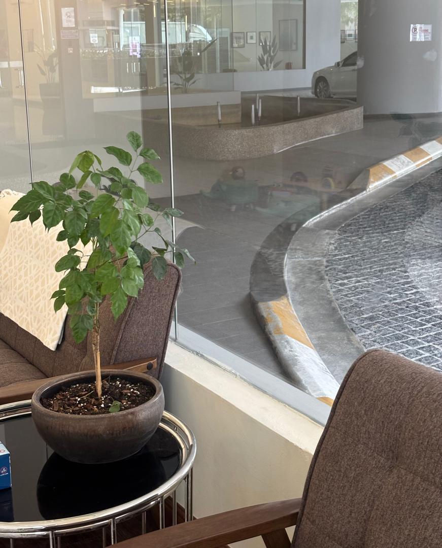 WhatsApp Image 2025-11-10 at 14.21.07 (1)