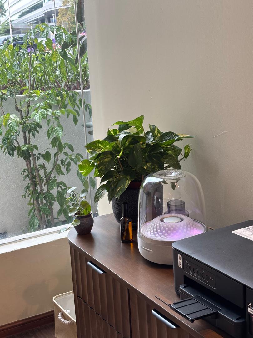 WhatsApp Image 2025-11-10 at 14.21.14 (2)