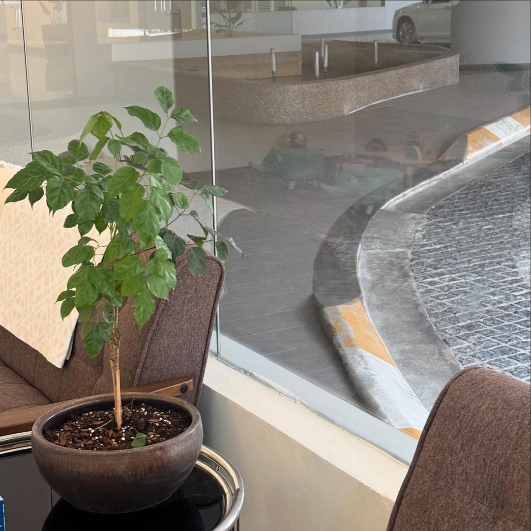 WhatsApp Image 2025-11-10 at 14.21.17