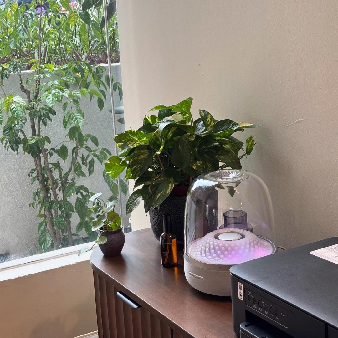 WhatsApp Image 2025-11-10 at 14.21.18 (2)