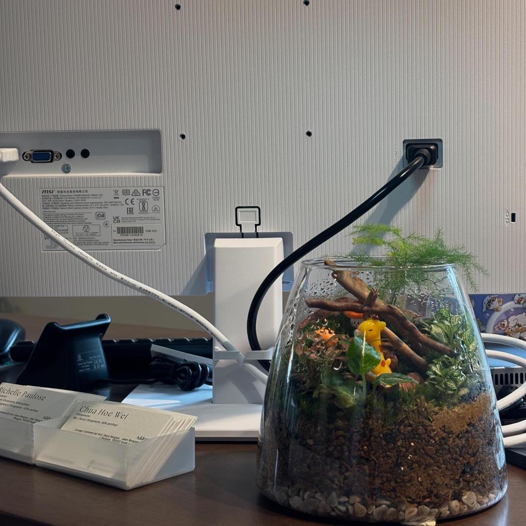 WhatsApp Image 2025-11-10 at 14.21.19